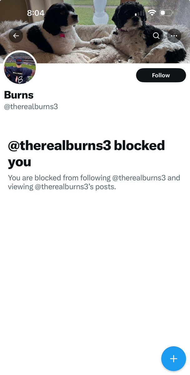 Todd 🏈 ®️™️ tweet media