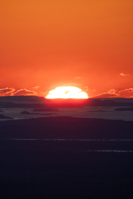 Fitch Max tweet media