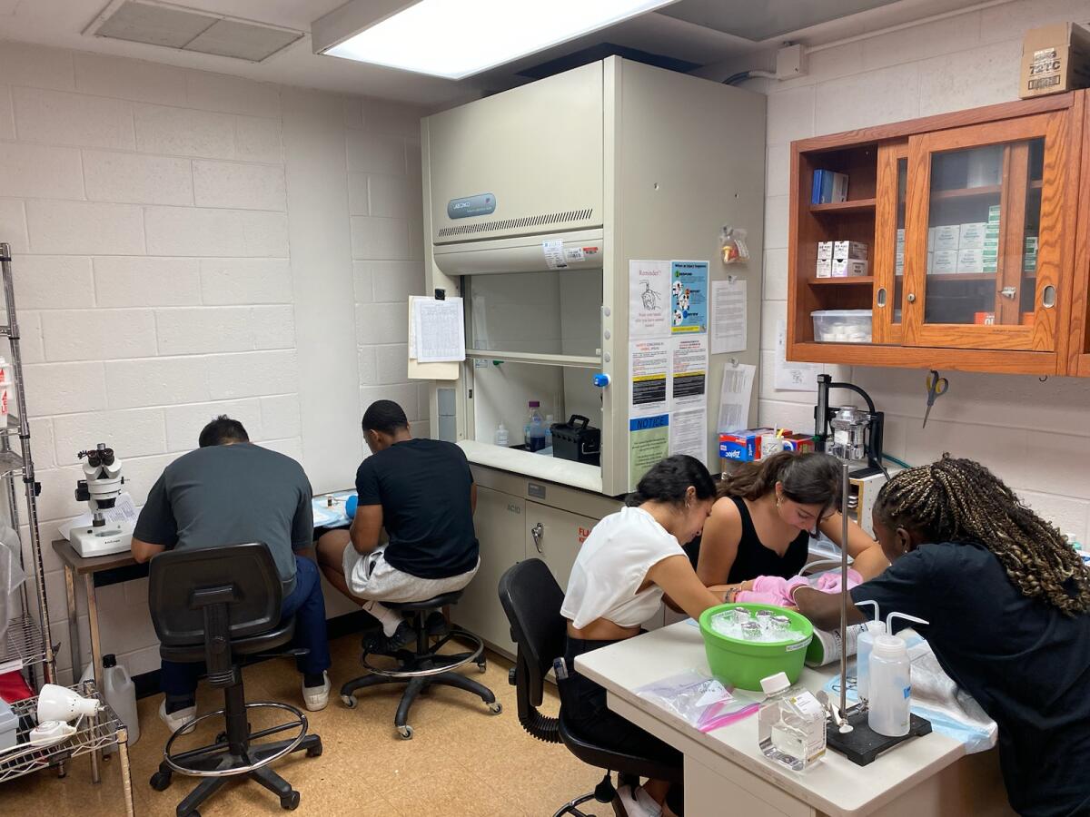 It's great to be off-campus and have UM STAR and UM ADAPT summer students rocking it in the lab! Thanks <a href="/mclaracanellas/">Maria Clara Canellas</a> and <a href="/scificobra/">Shannon Khan</a> for their mentorship!!