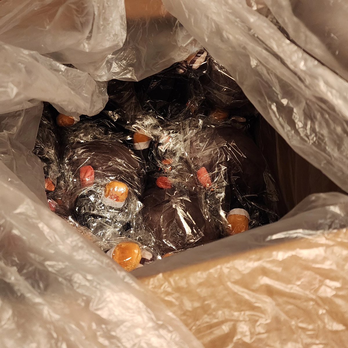 HIATUS. Idk when I'll return. tweet media