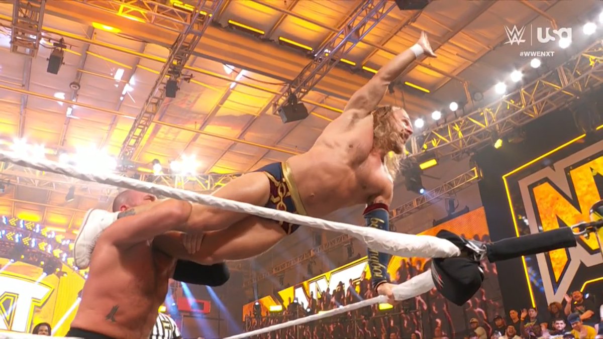 LuigiWrestling tweet media