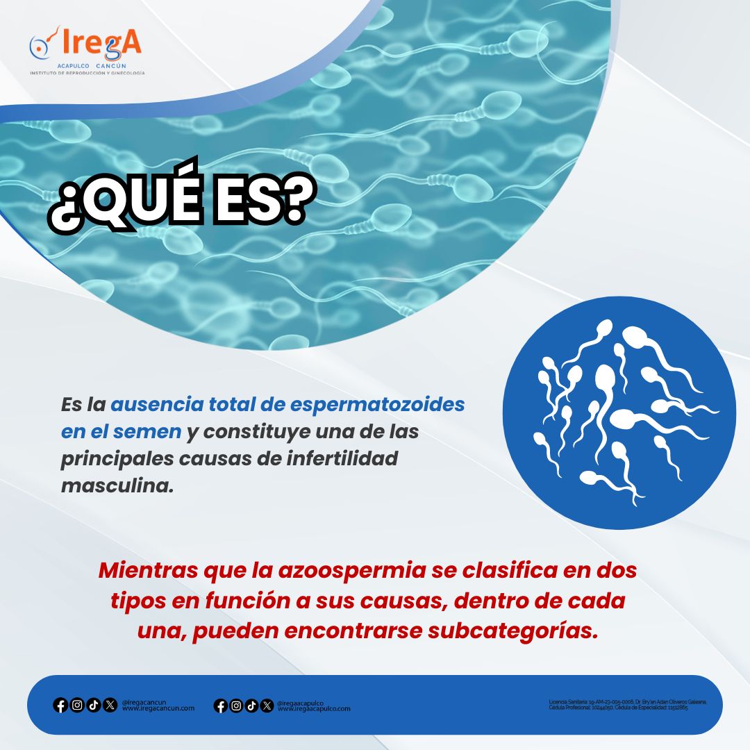 Instituto_IREGA's tweet photo. La azoospermia es la ausencia de espermatozoides en el semen, una causa común de infertilidad masculina. Consulta a un especialista para conocer opciones de tratamiento. 🌟 #SaludReproductiva #Azoospermia #FertilidadMasculina https://t.co/8Q9bHQ7RwD