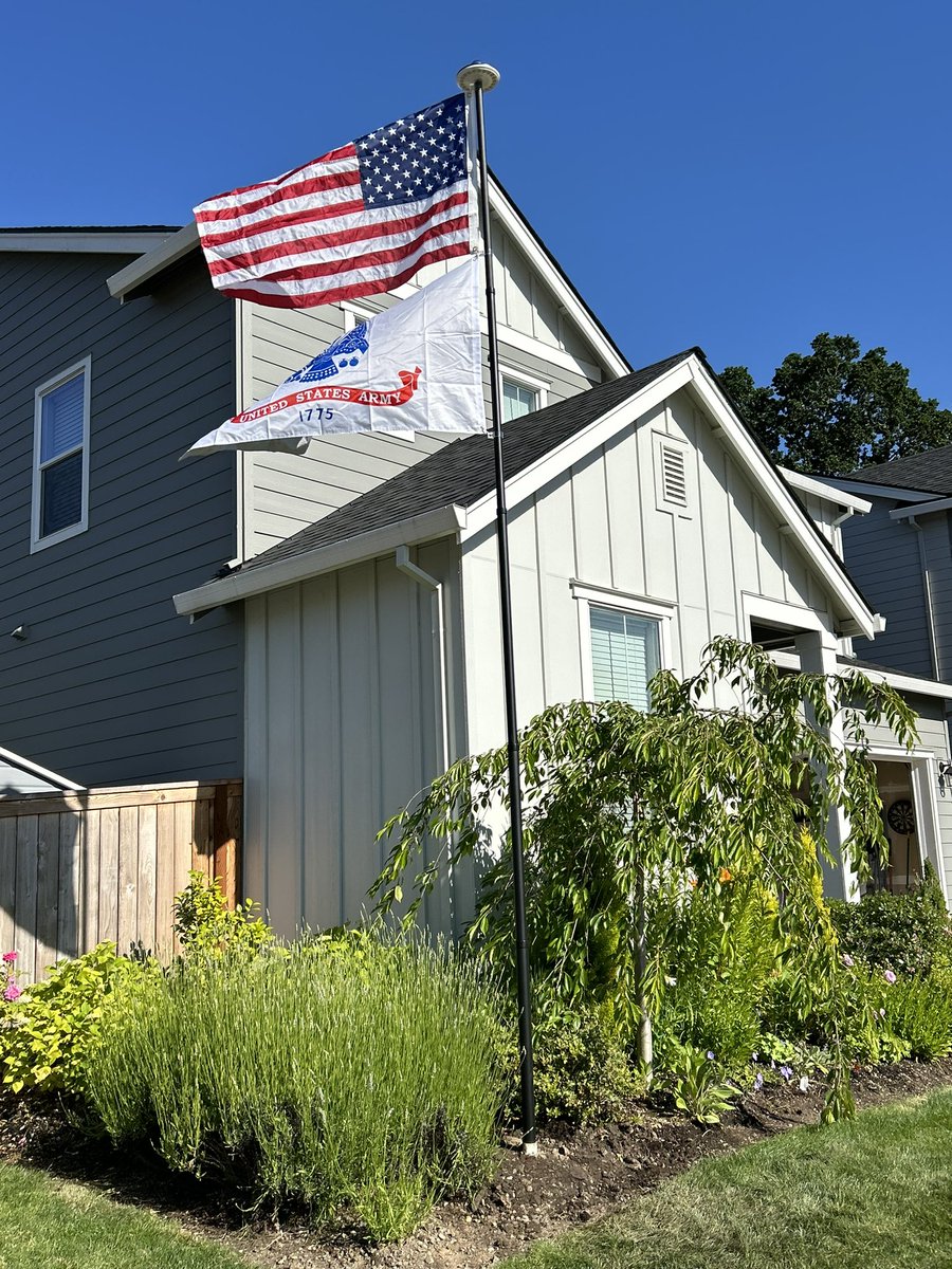 Dan Paget tweet media