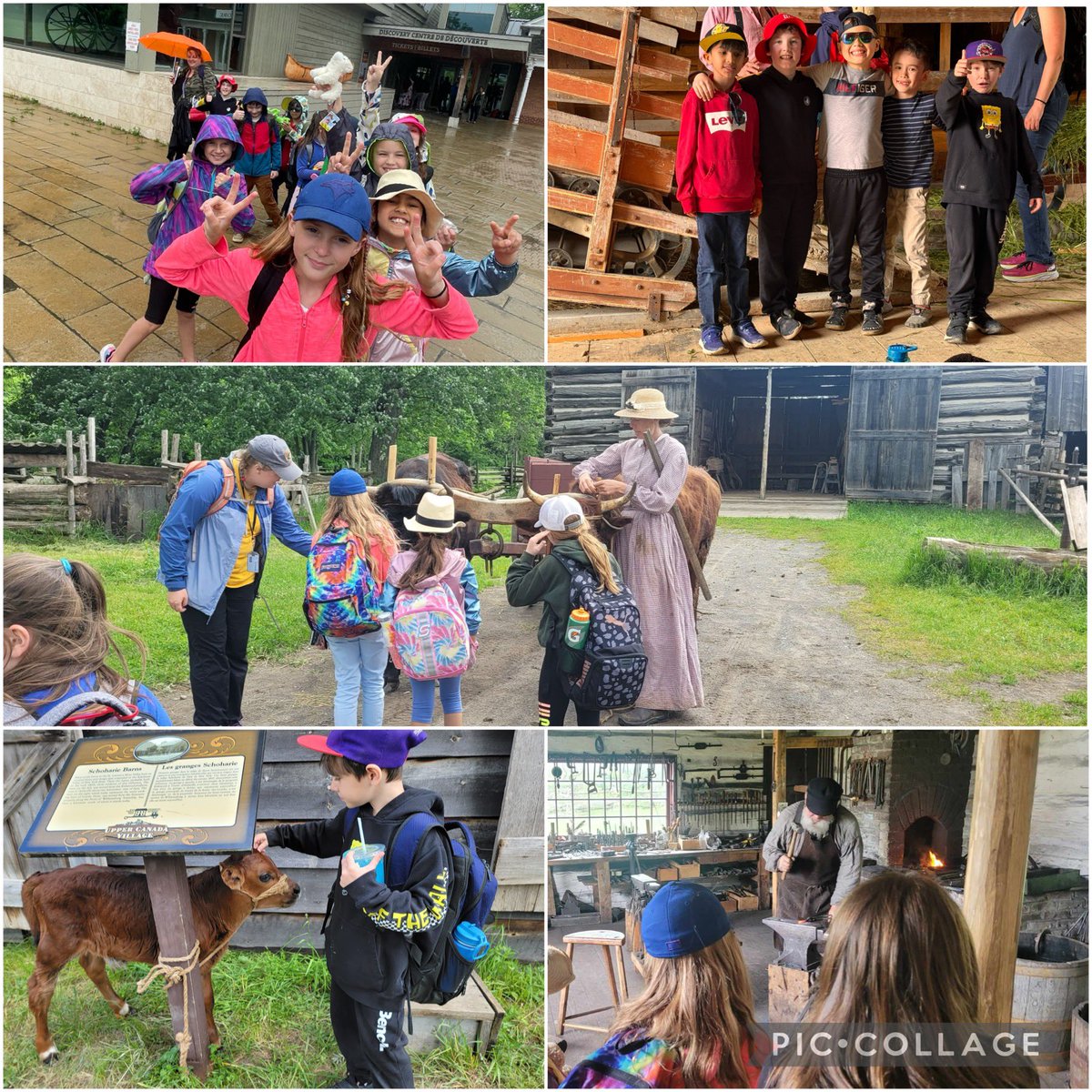 We have been so busy these past few weeks. I’m finally getting around to sharing some pictures from our great day at Upper Canada Village. We had read a book about a setter village &amp; seeing one in person really brought our learning to life! So many cute animals too 🐂🐴🐄🐖🐓