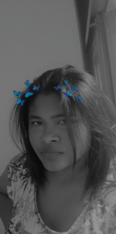 Como é a história?