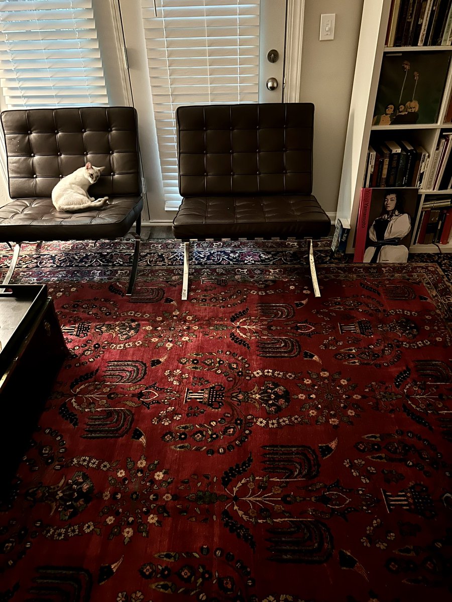 femslab's tweet photo. This carpet is unbelievably beautiful https://t.co/CDiysAqWVe