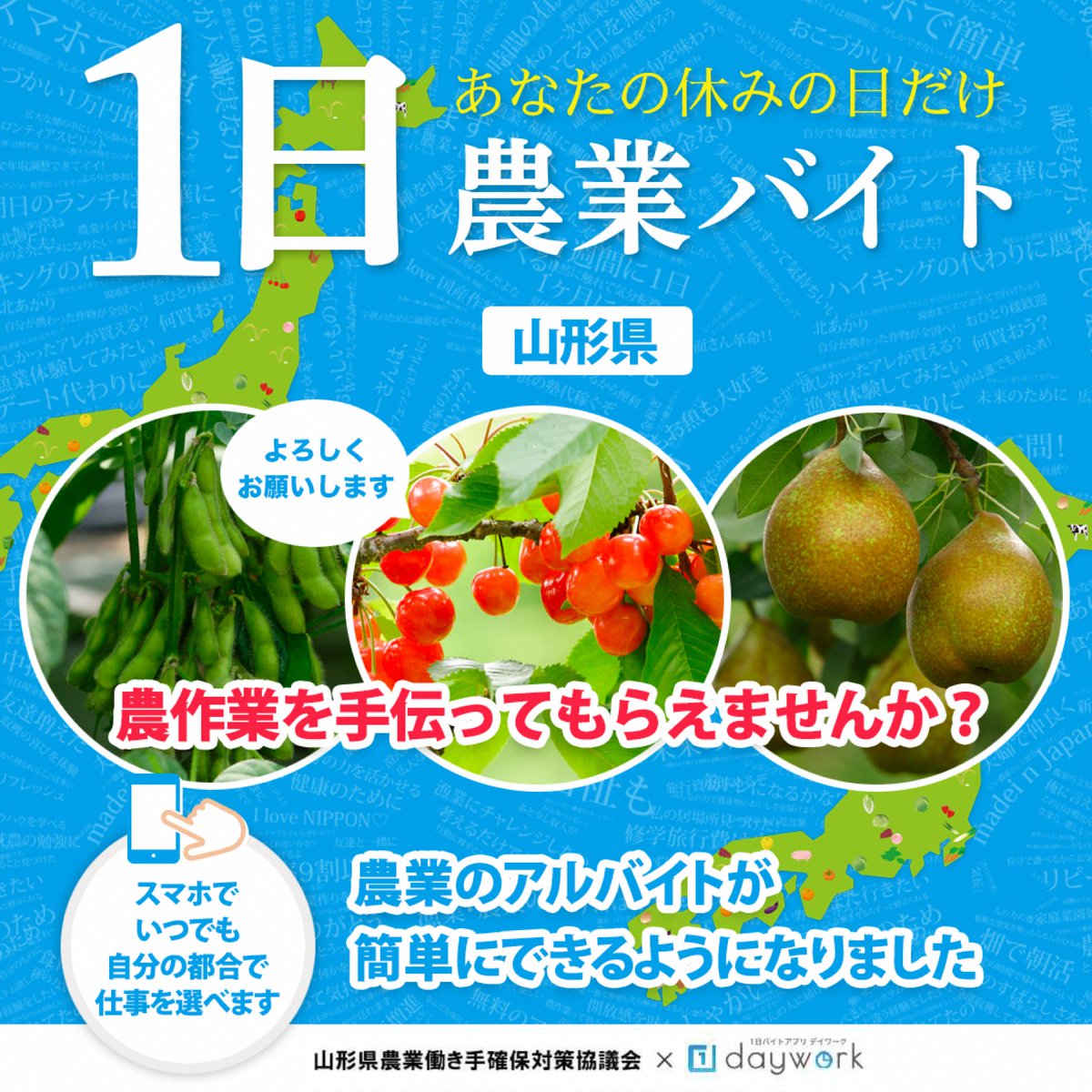 pref_yamagata's tweet photo. 【 #さくらんぼ 作業で１日バイト🍒】

アプリ #daywork を通して、数時間～１日単位の農業アルバイトに応募してみませんか?

特にさくらんぼ作業の人手が不足しています💦

「休日に副業として…」
「出勤前の短時間だけ…」など、希望に合った仕事を選べます！

詳細は▼
https://t.co/eGPxHqo9Pq https://t.co/b9GFvwmdAG