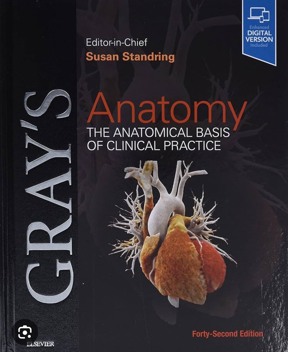 vinayak bapat (@bapat_savrtavr) on Twitter photo NY Valves Fun Facts - number 1
How many leaflets does Tricuspid valves has?? 😀😀
Surgeons not involved in transcatheter work: ONLY 3
Most cardiologist: Between 2-6
The best reference: Grey’s anatomy : 2 to 8 !!😂 NY Valves Fun Facts - number 1
How many leaflets does Tricuspid valves has?? 😀😀
Surgeons not involved in transcatheter work: ONLY 3
Most cardiologist: Between 2-6
The best reference: Grey’s anatomy : 2 to 8 !!😂