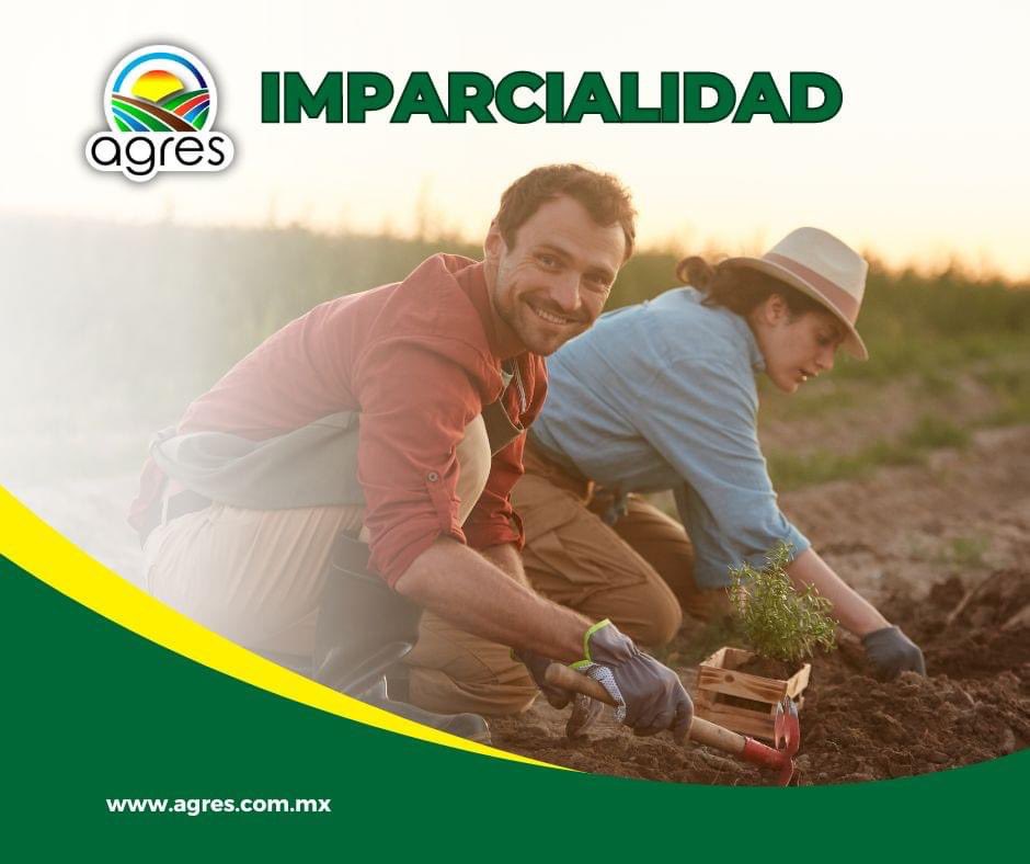 🟩 En AGRES desarrollamos nuestra actividad de acuerdo a principios de imparcialidad e independencia, establecidos en las Normas de referencia y, como tal es percibido por las partes interesadas, que valoran la confianza que inspiran los servicios prestados por nuestro organismo.