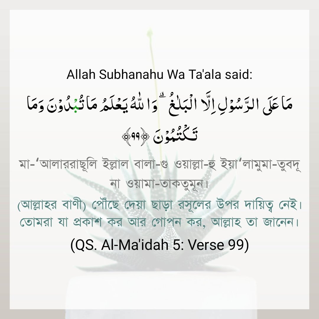 Anikul Islam tweet media