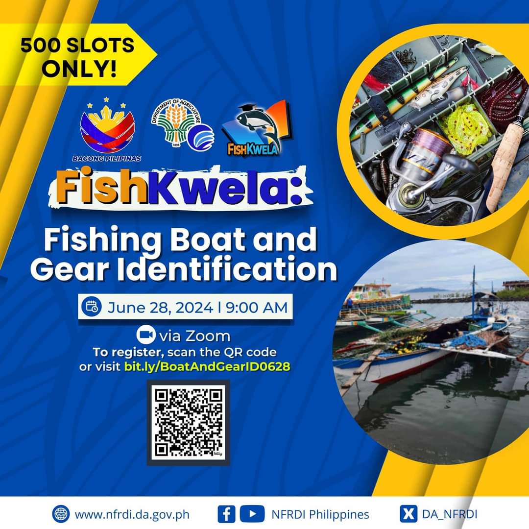 DA_NFRDI's tweet photo. [𝗔𝗡𝗡𝗢𝗨𝗡𝗖𝗘𝗠𝗘𝗡𝗧] We are inviting personnel from #BFAR, #LGUs, and #SUCs to participate in our upcoming “FishKwela: #Fishing Boat and #Gear Identification” on June 28, 2024, at 9AM via Zoom. Scan the QR code or visit: https://t.co/Ry9LccfEtz.

#JOINUSNOW https://t.co/SnCSTk3A9r
