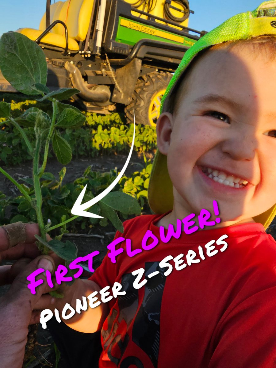 Justin Abell tweet media