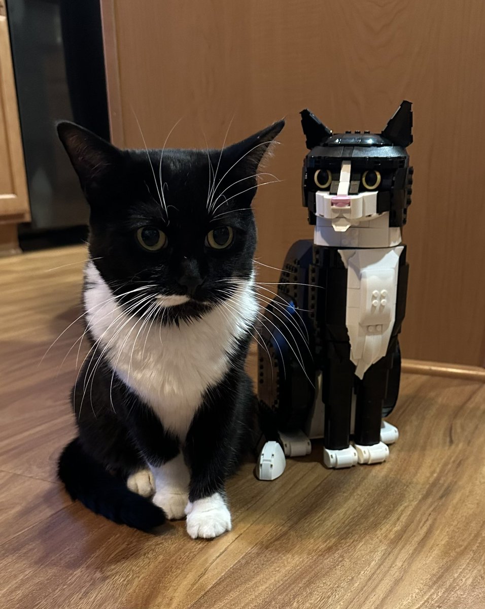 Bayleaf_01's tweet photo. @LEGO_Group I built my cat, those name is Tux!
 #TuxedoCat #LegoCat https://t.co/ka5QQSicSt