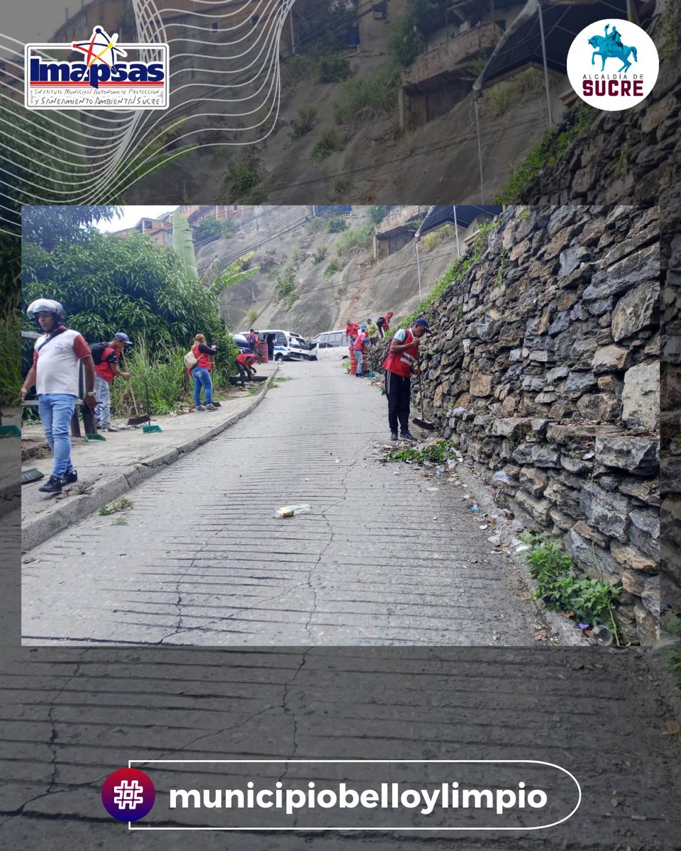 OficialImapsas tweet media