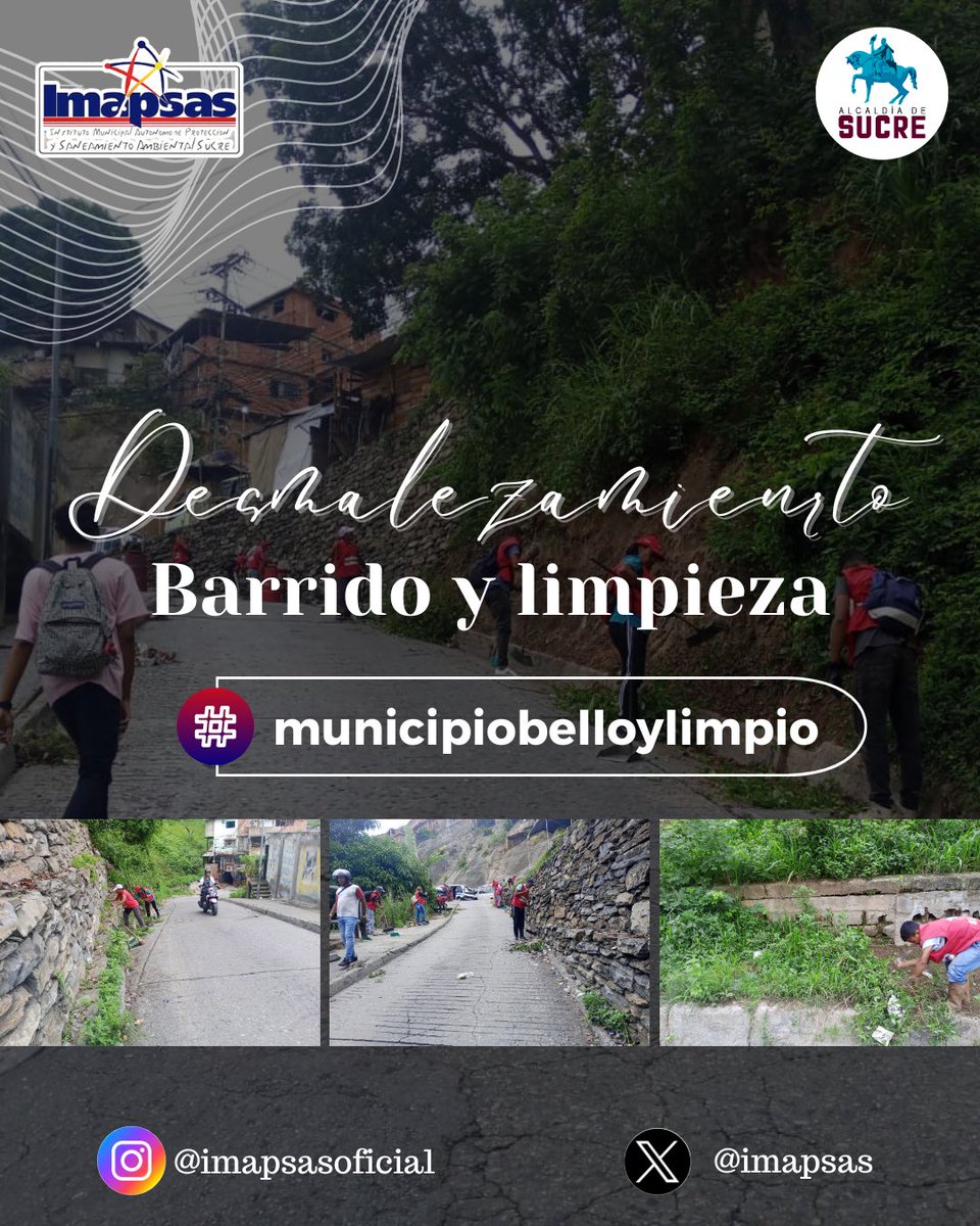 OficialImapsas tweet media