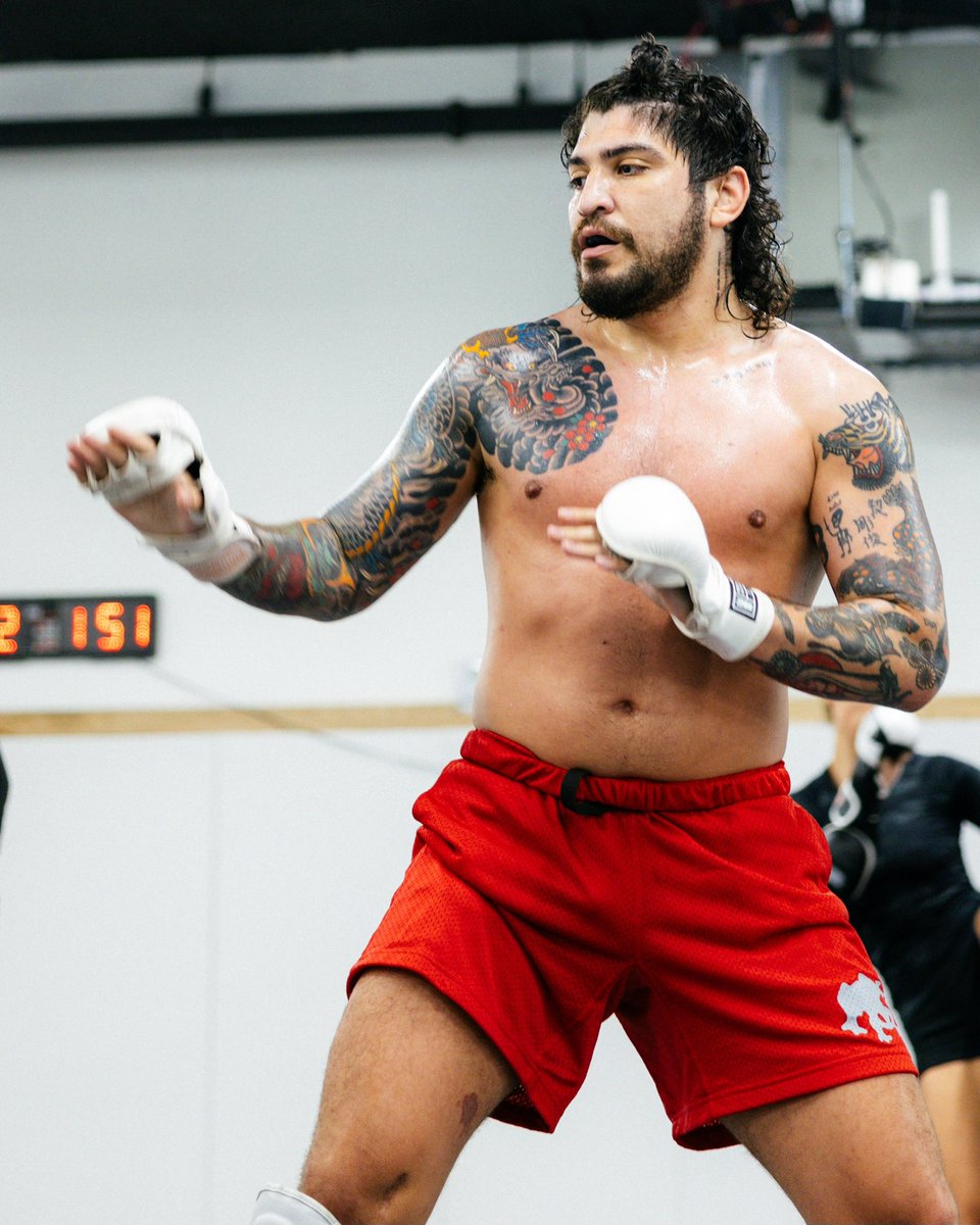 I am the best mixed martial artist in the world, and I will prove it. I will fight anyone. Every UFC fighter is scared of me.