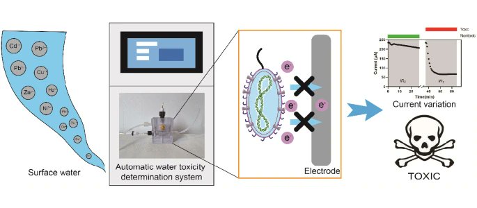 FESE_journal's tweet image. ⚠️🌊 New research highlights the systematic and long-term technical validity of an automatic water-toxicity-determination system. 🧪 #WaterSafety #PollutionControl #EnvironmentalTech #PublicHealth
Read more:
link.springer.com/article/10.100…