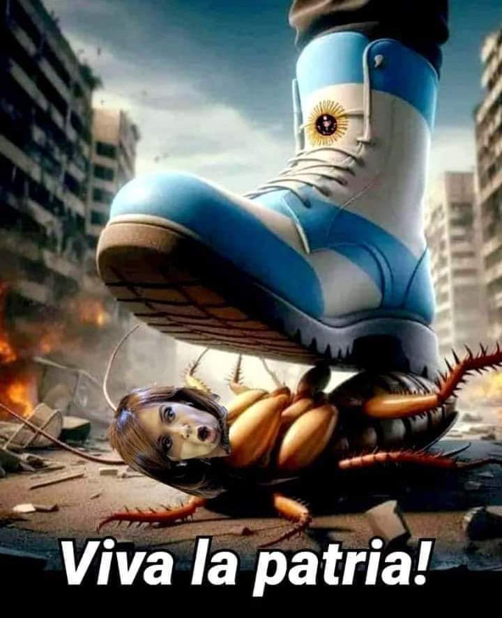 Si a la ley base VLLC🦁🦁🦁🇦🇷🇦🇷