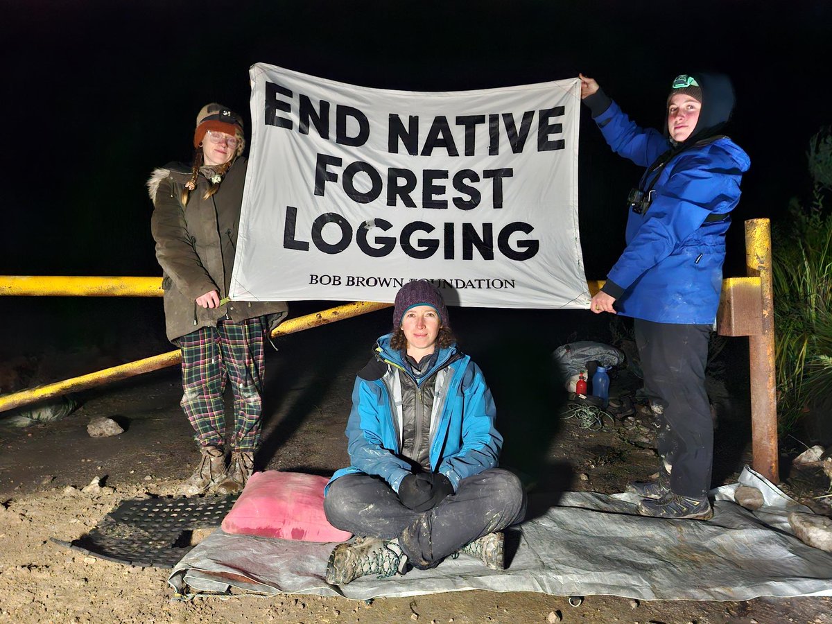 BobBrownFndn's tweet photo. ⚠️ Breaking: Takayna defenders Craig and Tanya arrested for peacefully protesting against the destruction of wildlife-rich forests in Takayna.
❗️Join our National Day of Action for Takayna today — https://t.co/4emoUonrFi
#DefendTakayna #endnativeforestlogging #politas https://t.co/1ykC98clep
