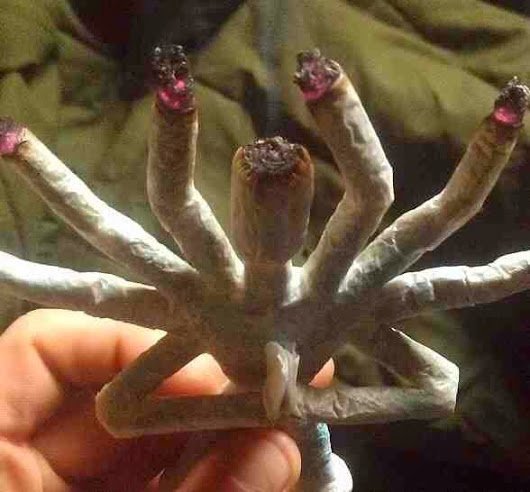 Meditação