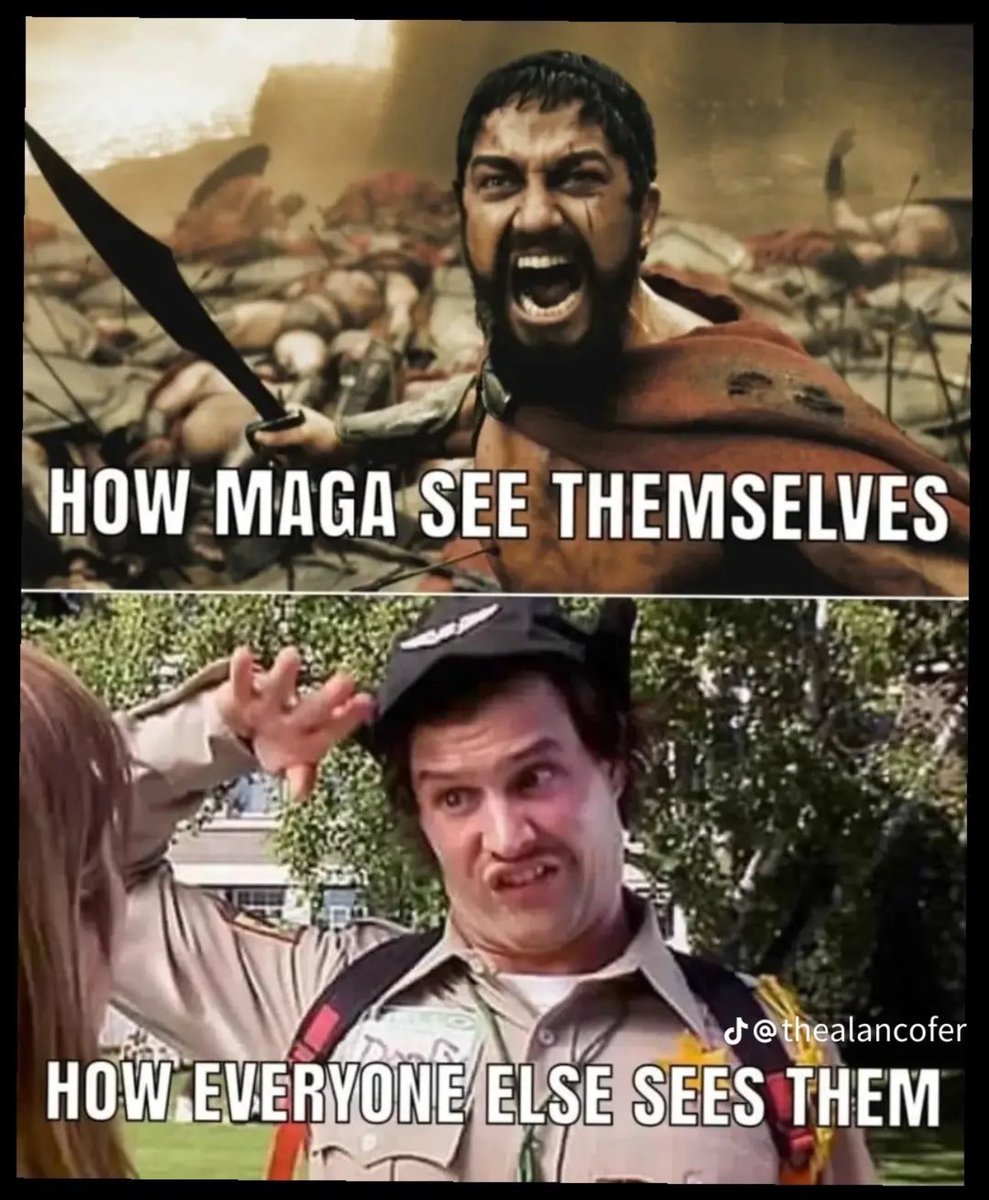 kangaroos991's tweet image. 👇👇👇