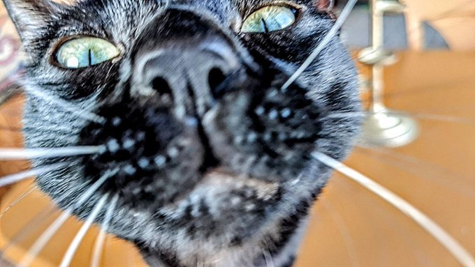 Sup https://t.co/KqJRybXRnO