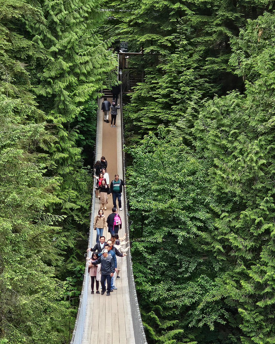 We are enjoying Friends &amp; Family night <a href="/capbridge/">Capilano Suspension Bridge Park</a>! 🌲