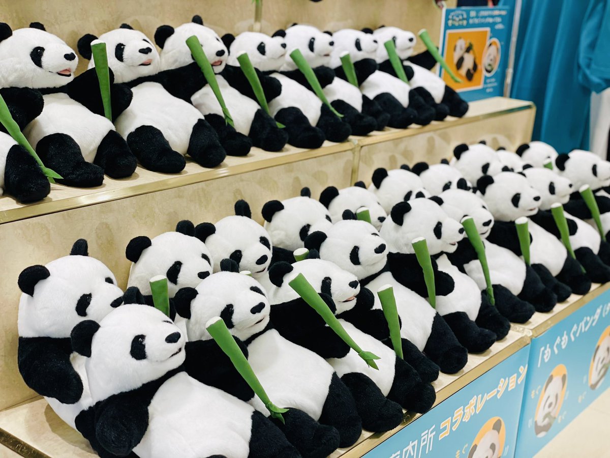 正規品♡パンダジャガード上下セット♡ラッピング 正規品♡パンダジャガード上下セット♡ラッピング - メルカリ