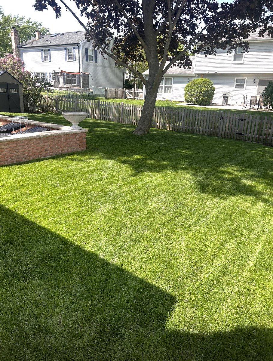 lamberti_tommy's tweet image. I started Lamberti’s Landscaping Company (LLC) in 5th grade. Now I’m proudly tending to 7 happy customers every week.  Being active in the community makes it a great summer gig!