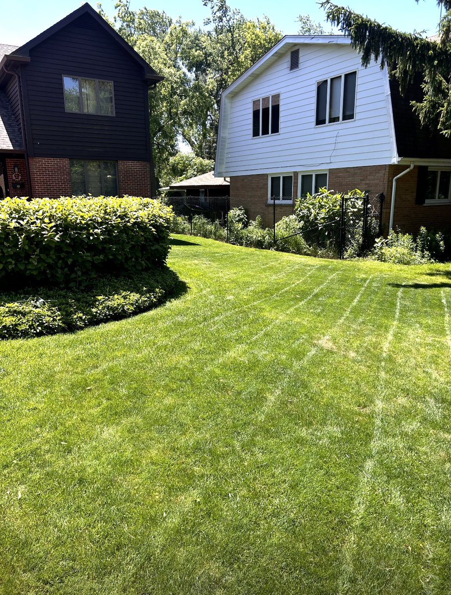 lamberti_tommy's tweet image. I started Lamberti’s Landscaping Company (LLC) in 5th grade. Now I’m proudly tending to 7 happy customers every week.  Being active in the community makes it a great summer gig!