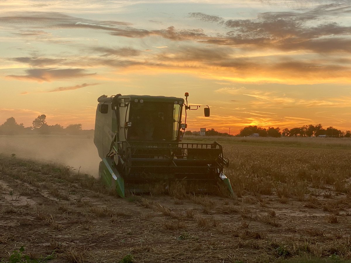 Jeff Wright tweet media