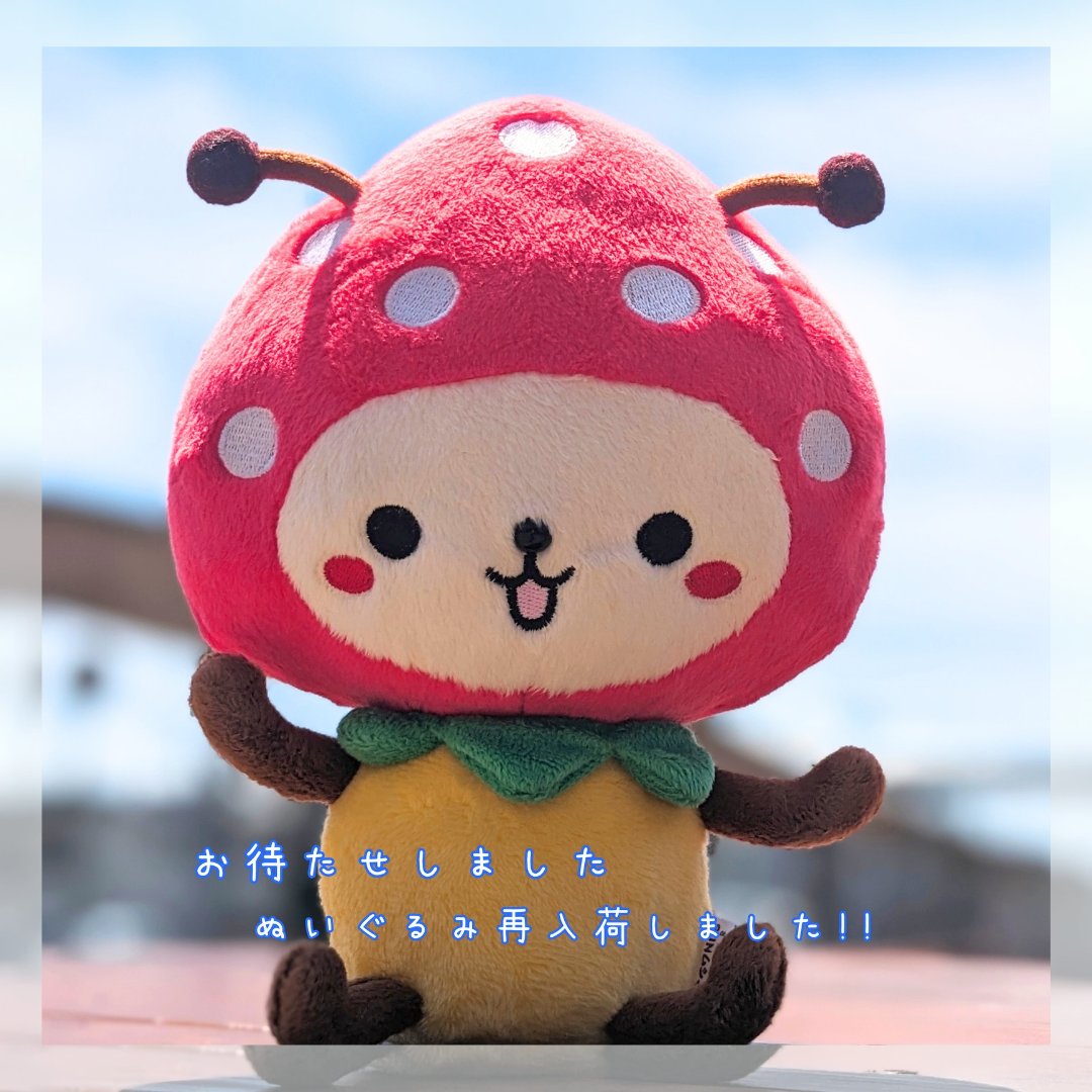 むうくん ぬいぐるみ再入荷しました!! かわいいSUNムシくんのご紹介です