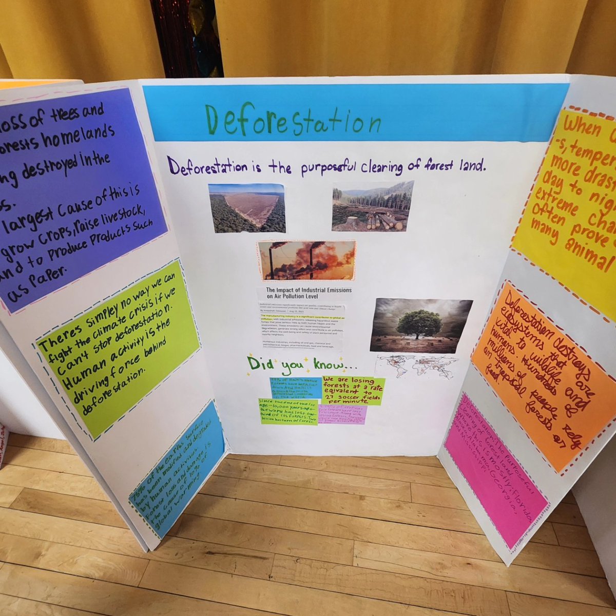 Michael Reilly tweet media