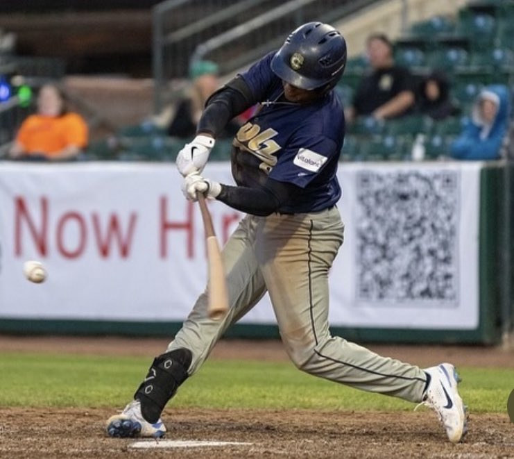 Adam Young tweet media