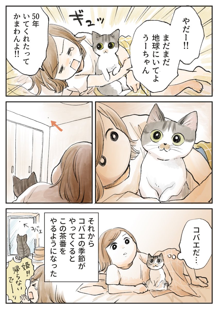 (2/2) 