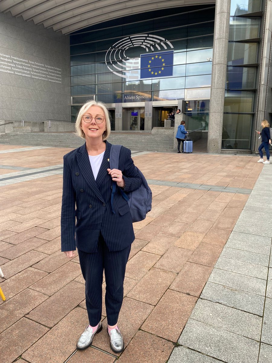 Regina Doherty MEP tweet media