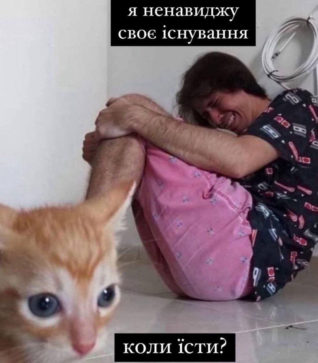 Gruzovoi40k's tweet photo. Класика 🤷 https://t.co/exkedIv6Ln