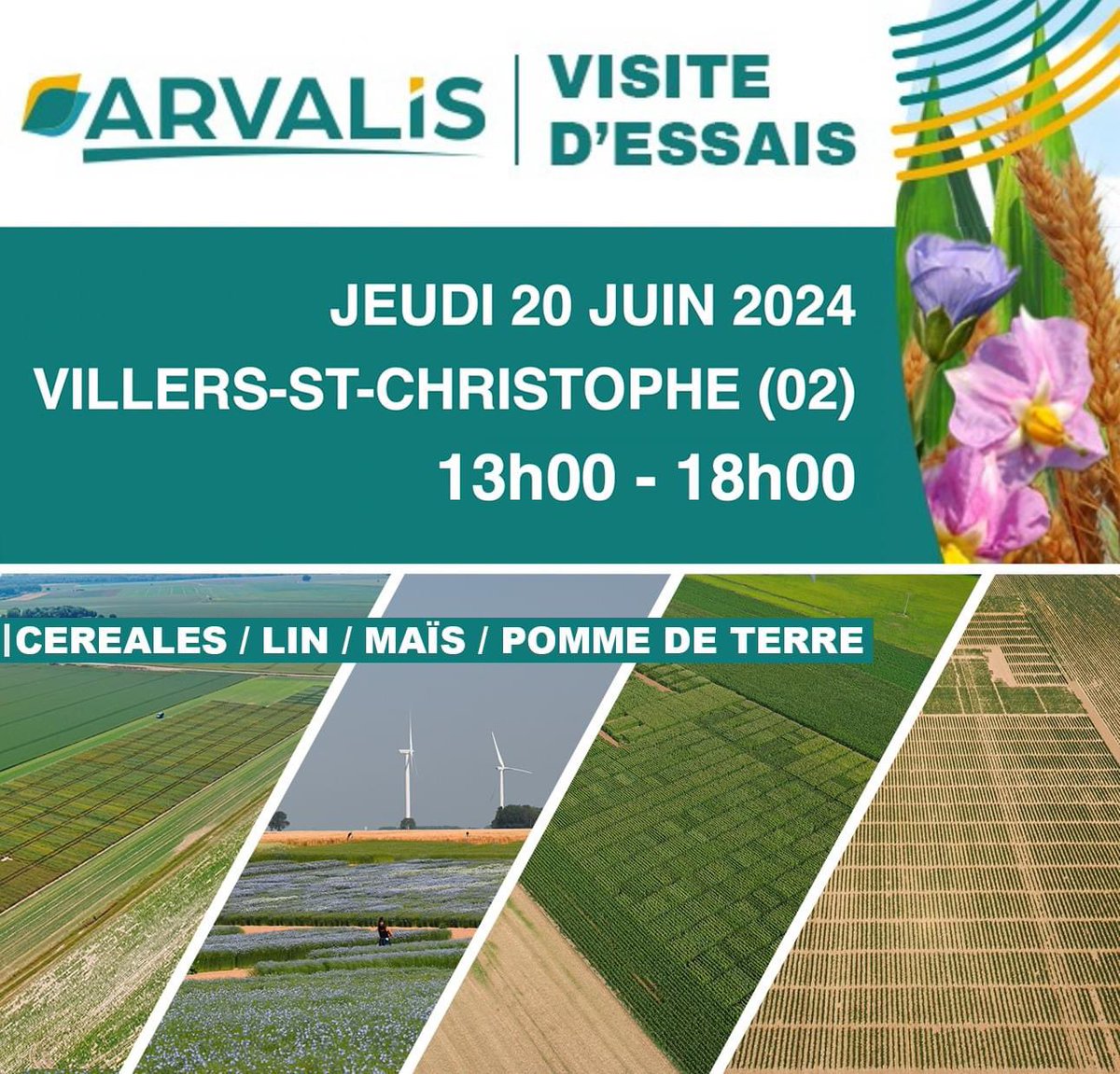 ArvalisHdF's tweet image. ⏳ J-8 avant la visite d’essais multi-espèces d&apos;ARVALIS Hauts-de-France 🌾🌱🌽🥔

📅 Rendez-vous le jeudi 20 juin 2024 de 13h à 18h sur notre plateforme d’essais de Villers-Saint-Christophe

N’hésitez pas à vous inscrire :

my.weezevent.com/visite-dessais…