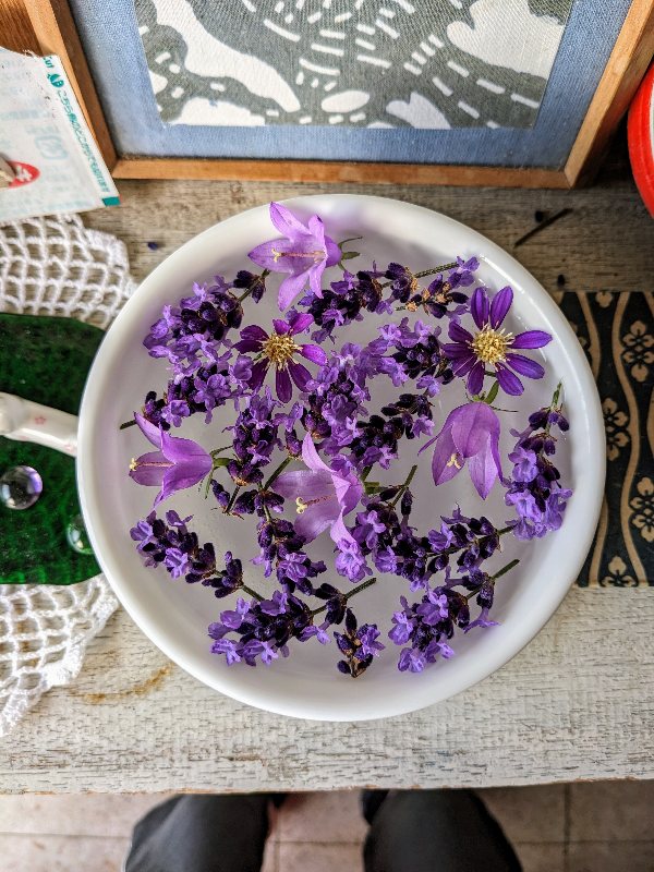 hitoshi_japan's tweet photo. 母作、今日の浮き花その1&その2です💮
#花
#浮き花
#母作
#floatingflowers https://t.co/3uAny1ecp8