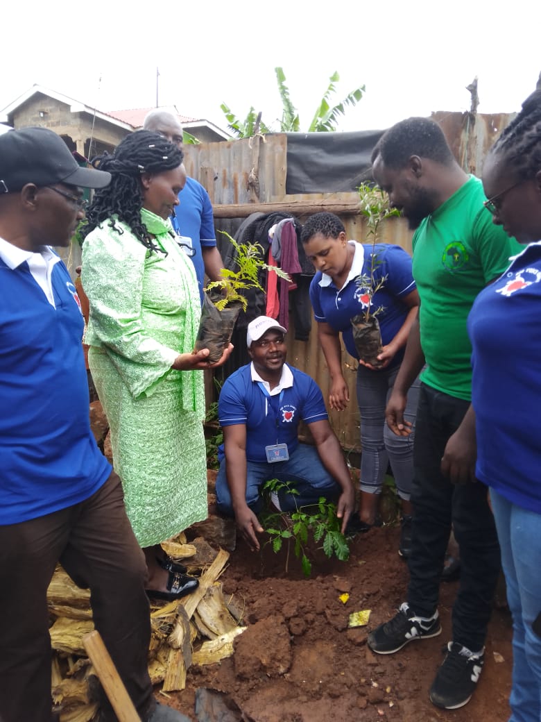 Touching lives and impacting the society. 

In partnership with One Voice Charity. 

#ClimateAction
#ClimateEmergency 
#TheGreenAllianceAfricaForYou