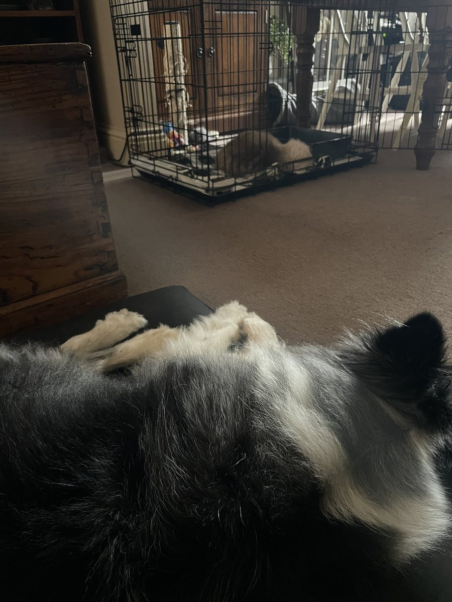 Vicki Eaglefield tweet media