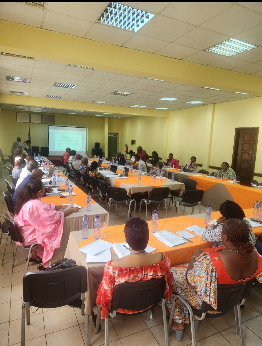 1/4Célébration ce jeudi 12 juin de la Journée Mondiale de lutte contre le travail des enfants.En RDC,la Commission Interministérielle Chargée du Suivi de la question de lutte contre le travail des enfants dans les mines artisanales "CISTEMA " poursuit son objectif sans désemparé.