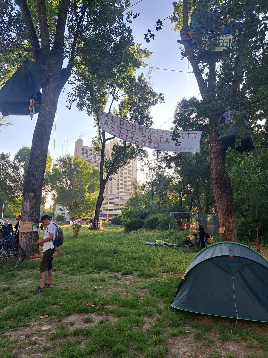 Irene Trombini tweet media