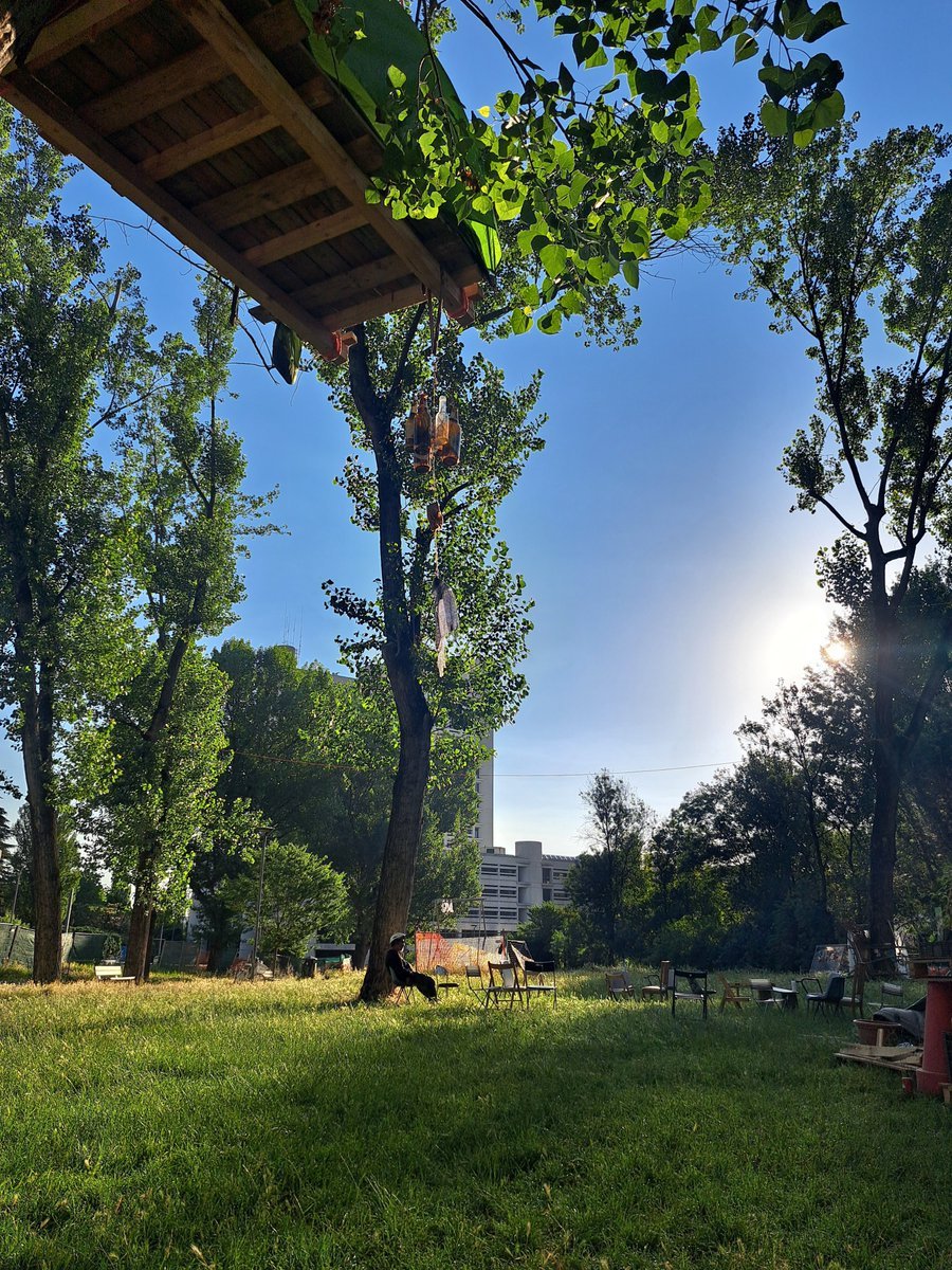 Irene Trombini tweet media