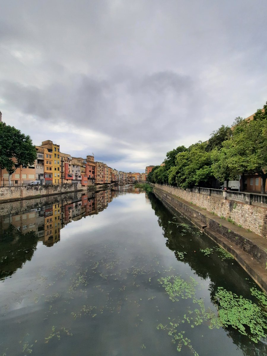 bgeo_opengis's tweet image. Buenos días desde Girona! Empiezan las Jornadas de SIG Libre que cuentan con un récord de 230 asistentes! 🙌🏻  
#SIGLibre2024 #geodatascience2024 
#geotech
#spatialdatascience
@univgirona @fundacioudg