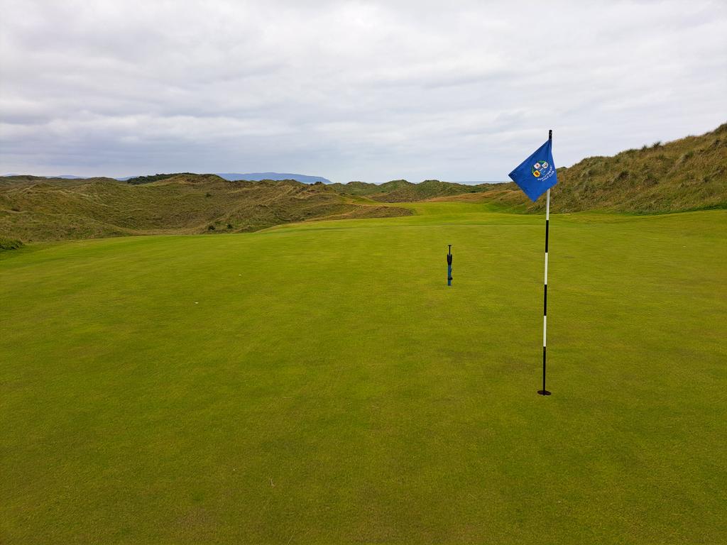 David Feeney tweet media