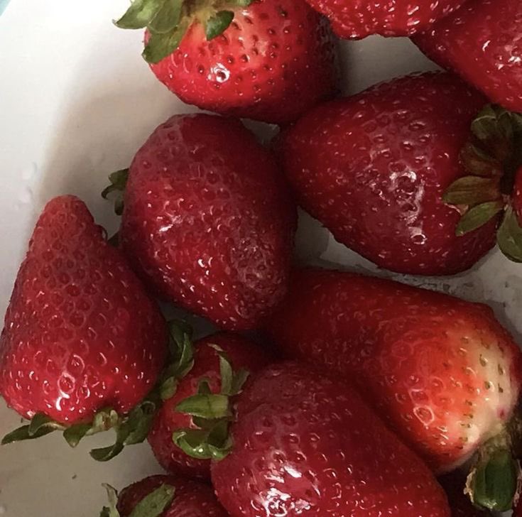 sweetj4m's tweet photo. rt si te gustan las fresas o si estás cansadx de ser gordx y putamente asquerosx https://t.co/elgIJ8sf4k
