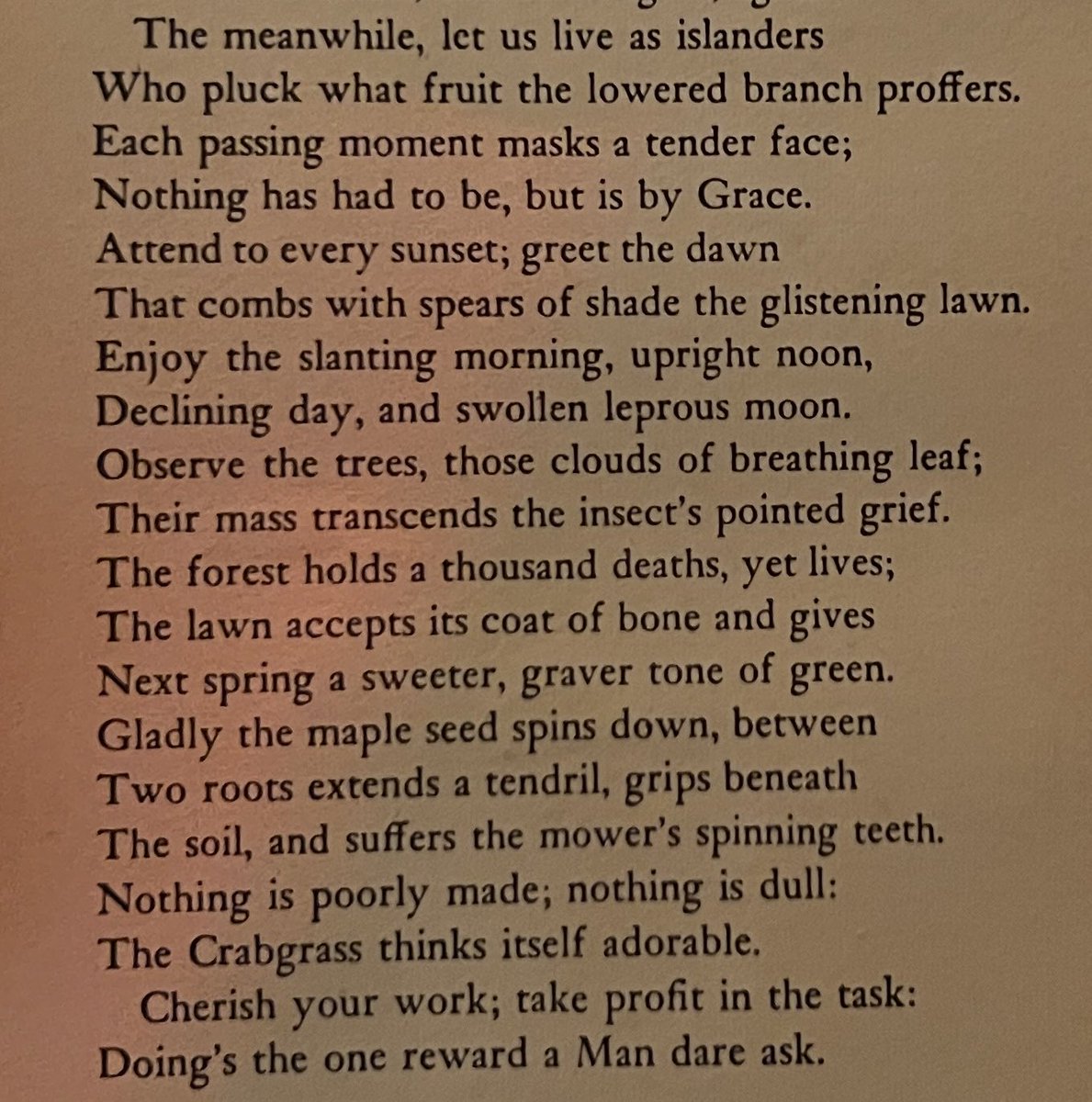 mickeyjspear's tweet image. Adorable