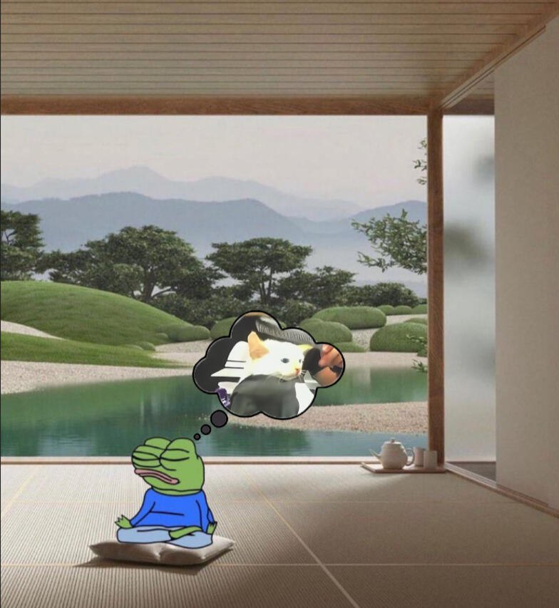 cat getting fade tweet media