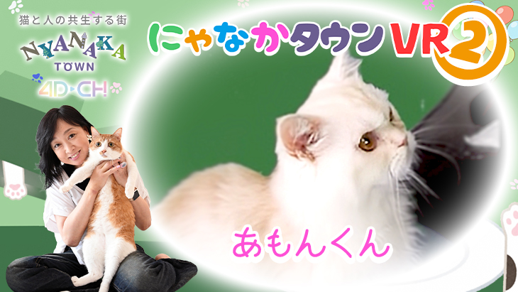 4DCHANNEL's tweet photo. 🐱4D-CH×にゃなかタウン コラボVR第2弾✨
かもんくん編
🔗https://t.co/N7qxaYw6iB
らもんくん編
🔗https://t.co/3yNrkEyFdi
しもんくん編
🔗https://t.co/LgRszTdgIz
あもんくん編
🔗https://t.co/pTQhNzOJaw
#にゃなかタウン #4DCH #猫VR #VR体験 #猫との暮らし #猫好きさんと繋がりたい https://t.co/ujcn4Yhr2R